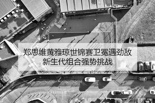 zheng-si-wei-huang-ya-qiong-shi-jin-sai-wei-mian-yu-jing-di-xin-sheng-dai-zu-he-qiang-shi-tiao-zhan-2-706.jpg